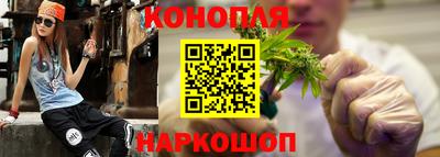 сатива Нальчик