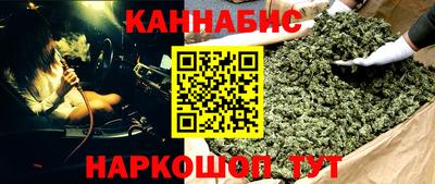 сатива Нальчик
