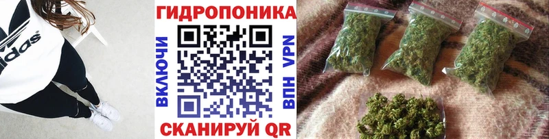 цены наркотик Холмск МЕГА зеркало Канабис гибрид